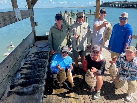 Black Drum, Flounder, Redfish, Sheepshead Fishing in Corpus Christi, Texas