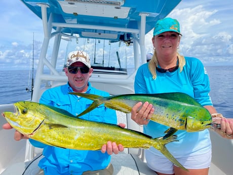 Mahi Mahi / Dorado fishing in St. Augustine, Florida