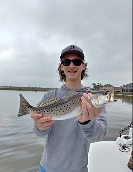 Speckled Trout / Spotted Seatrout Fishing in St. Augustine, Florida