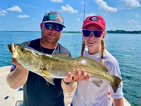 Speckled Trout / Spotted Seatrout fishing in Sarasota, Florida