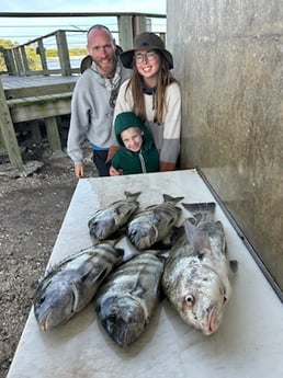 Fishing in Port Orange, Florida