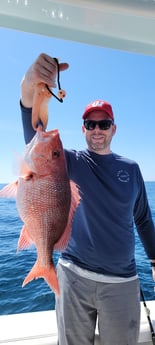 Red Snapper fishing in Panama City, Florida