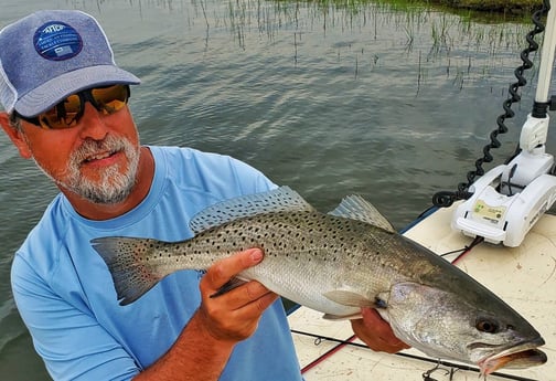 Speckled Trout / Spotted Seatrout fishing in Beaufort, North Carolina