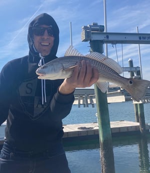 Sheepshead fishing in Wrightsville Beach, North Carolina