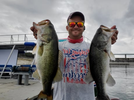 Largemouth Bass Fishing in Austin, Texas