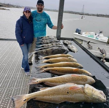 Black Drum, Redfish fishing in Galveston, Texas