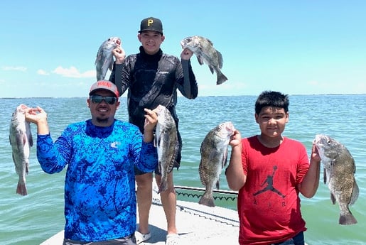 Black Drum fishing in Port Aransas, Texas