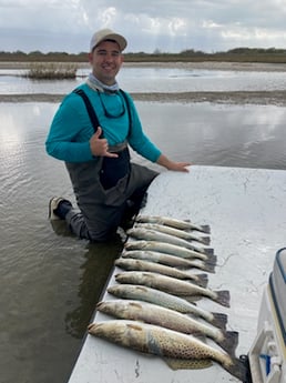 Speckled Trout / Spotted Seatrout fishing in Rockport, Texas