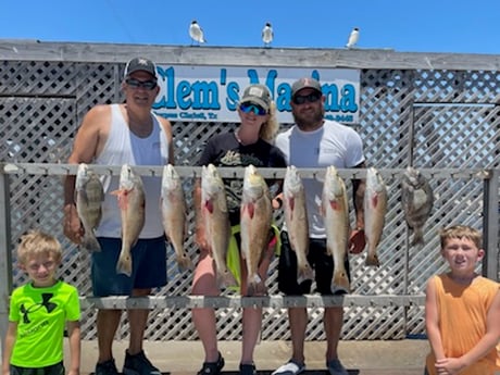 Black Drum, Redfish, Sheepshead fishing in Corpus Christi, Texas