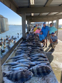 Sheepshead, Speckled Trout / Spotted Seatrout Fishing in Venice, Louisiana