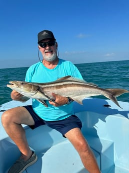 Cobia Fishing in Key West, Florida