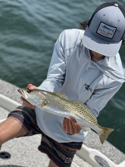 Speckled Trout Fishing in Holmes Beach, Florida