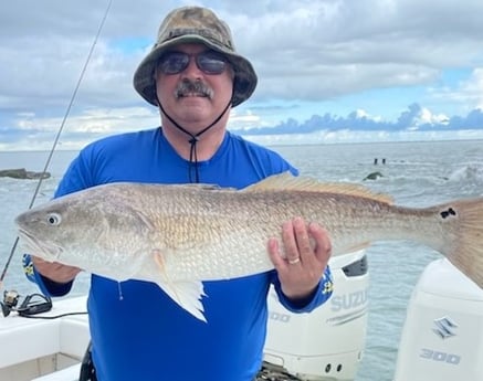 Redfish fishing in Galveston, Texas