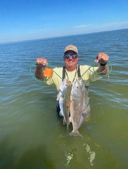 Redfish, Speckled Trout Fishing in Corpus Christi, Texas