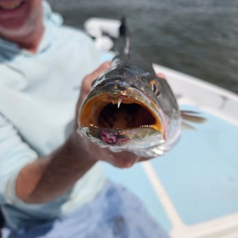 Fishing in Trails End, North Carolina