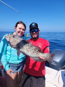 Amberjack fishing in Clearwater, Florida