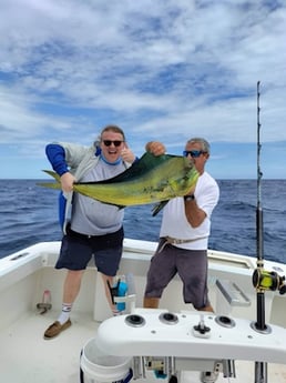 Mahi Mahi Fishing in Palm Beach, Florida