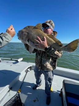 Black Drum Fishing in Galveston, Texas