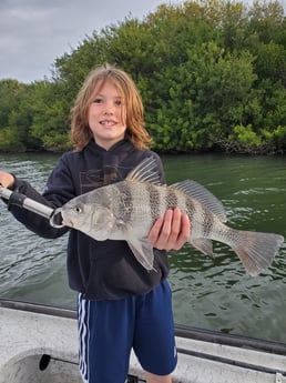 Black Drum fishing in New Smyrna Beach, Florida