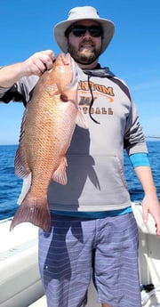 Red Snapper fishing in Panama City, Florida