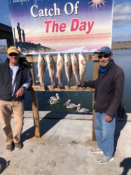 Redfish Fishing in Rockport, Texas