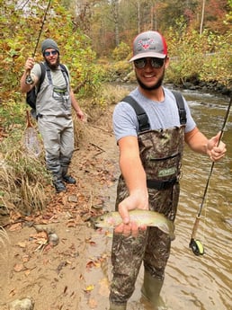 Rainbow Trout fishing in Leicester, North Carolina