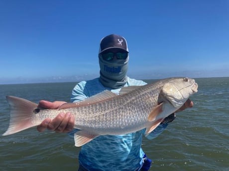 Redfish Fishing in Corpus Christi, Texas