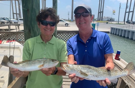 Speckled Trout / Spotted Seatrout fishing in Corpus Christi, Texas