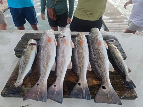 Fishing in Aransas Pass, Texas