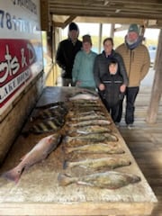 Redfish, Sheepshead, Speckled Trout Fishing in New Orleans, Louisiana