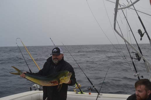 Mahi Mahi / Dorado fishing in Galveston, Texas