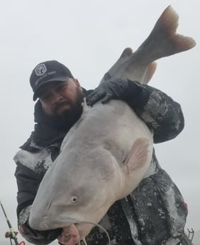 Blue Catfish fishing in Dallas, Texas