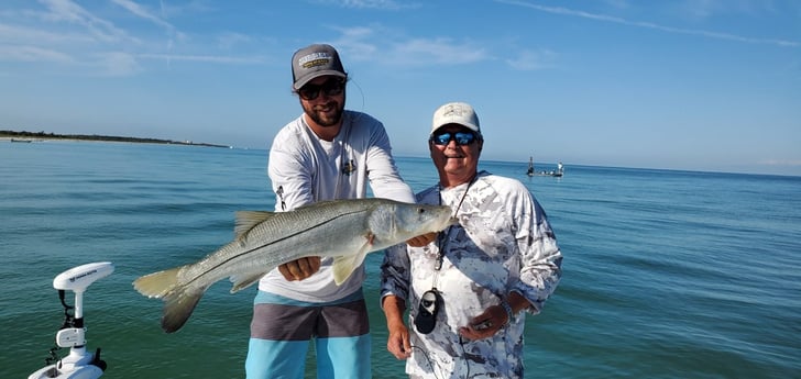 Snook fishing in Clearwater, Fl