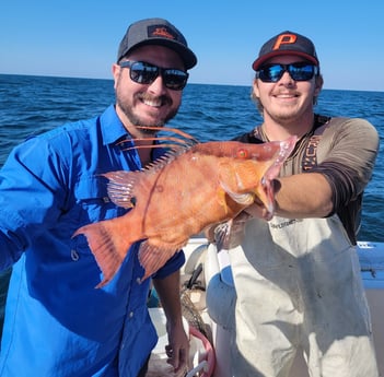 Hogfish Fishing in Clearwater, Florida