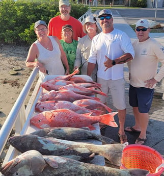 Gag Grouper, Red Snapper fishing in Clearwater, Florida