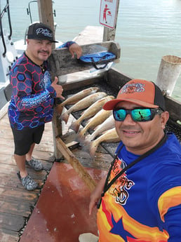 Redfish Fishing in Rio Hondo, Texas