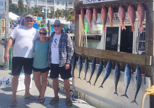 Little Tunny / False Albacore, Red Snapper Fishing in Destin, Florida