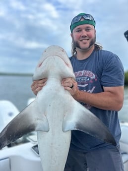 Blacktip Shark Fishing in Port Orange, Florida