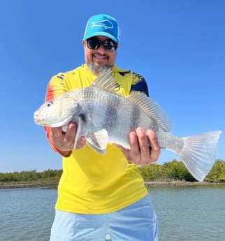 Tripletail fishing in St. Augustine, Florida