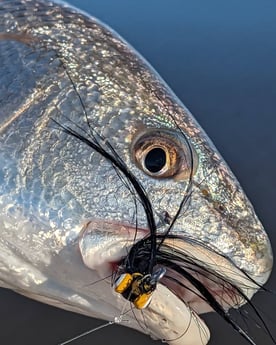 Fishing in Belhaven, North Carolina