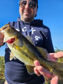 Fishing in Fort Lauderdale, Florida