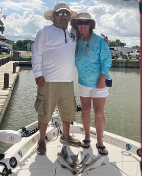 Speckled Trout / Spotted Seatrout fishing in Texas City, Texas