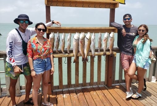 Redfish, Speckled Trout / Spotted Seatrout fishing in Port Isabel, Texas