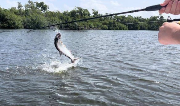 Tarpon Fishing in Carolina, Puerto Rico