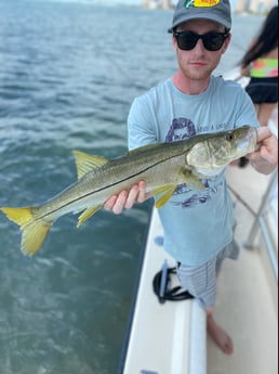 Snook fishing in Sarasota, Florida