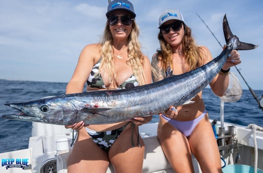 Wahoo Fishing in Boynton Beach, Florida