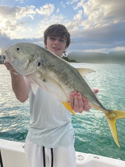 Jack Crevalle fishing in Sarasota, Florida