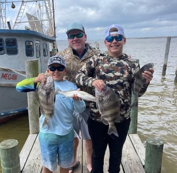 Black Drum, Sheepshead, Speckled Trout Fishing in Galveston, Texas