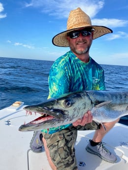 Barracuda fishing in Panama City, Florida