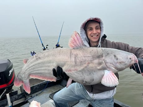 Blue Catfish Fishing in Dallas, Texas